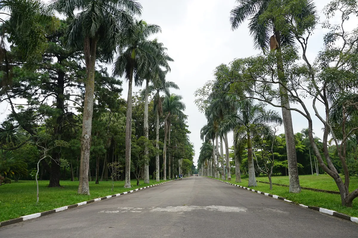 Accessible Beautiful Streets in Braga for All Visitors