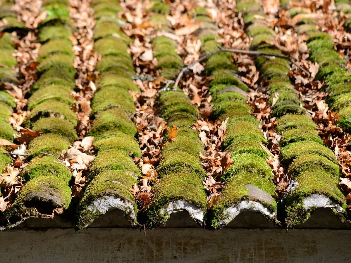 Discovering Charming Braga Alleys: Your 2025 Guide