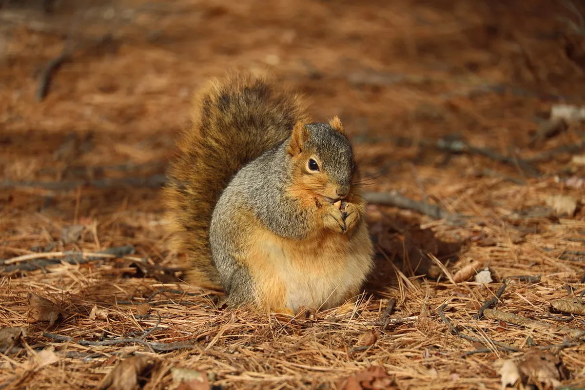 Ideal Time to Walk Braga's Beautiful Streets in 2025