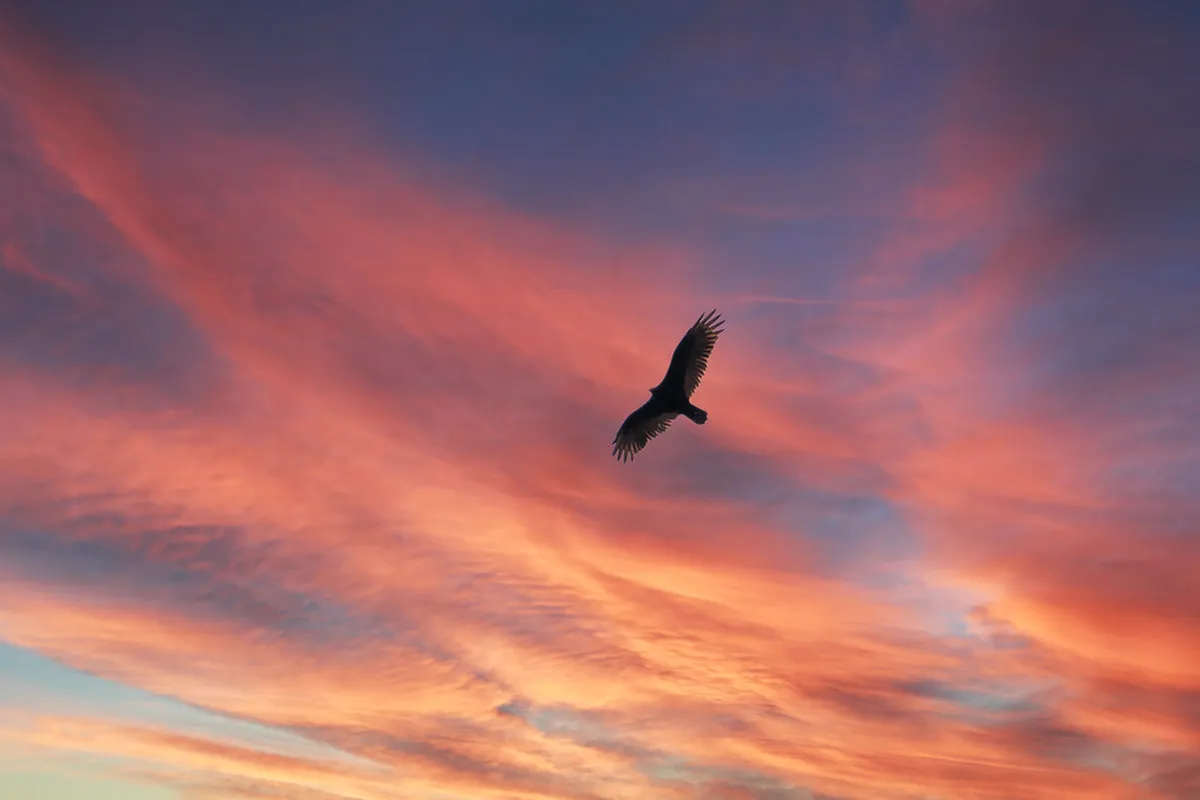 Self-Guided Photo Walk Guide: Braga Streets in 2025