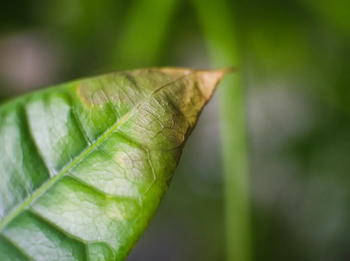 Useful Tips for Braga Street Exploration in 2025