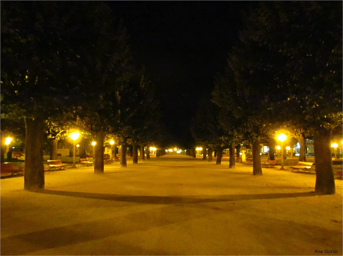 Best Coimbra Walking Tour for History Lovers in 2025