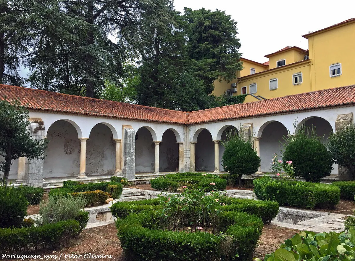 Discover Lush Gardens Near Coimbra Streets in 2025