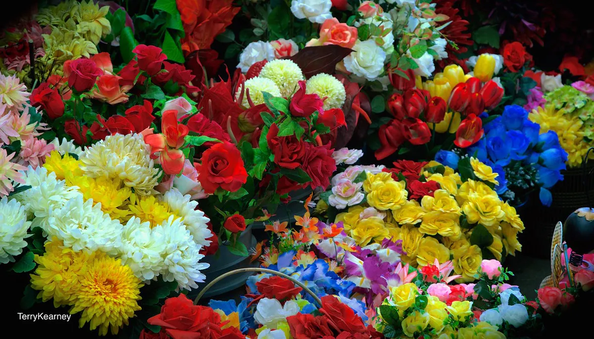 History of Fado de Coimbra: A Student's Soulful Song