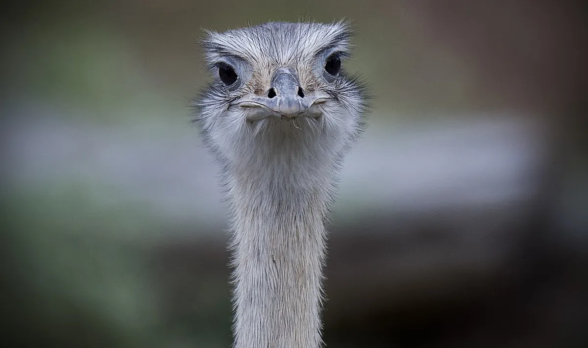 Coimbra Hilly Terrain: Walking Tips for 2025