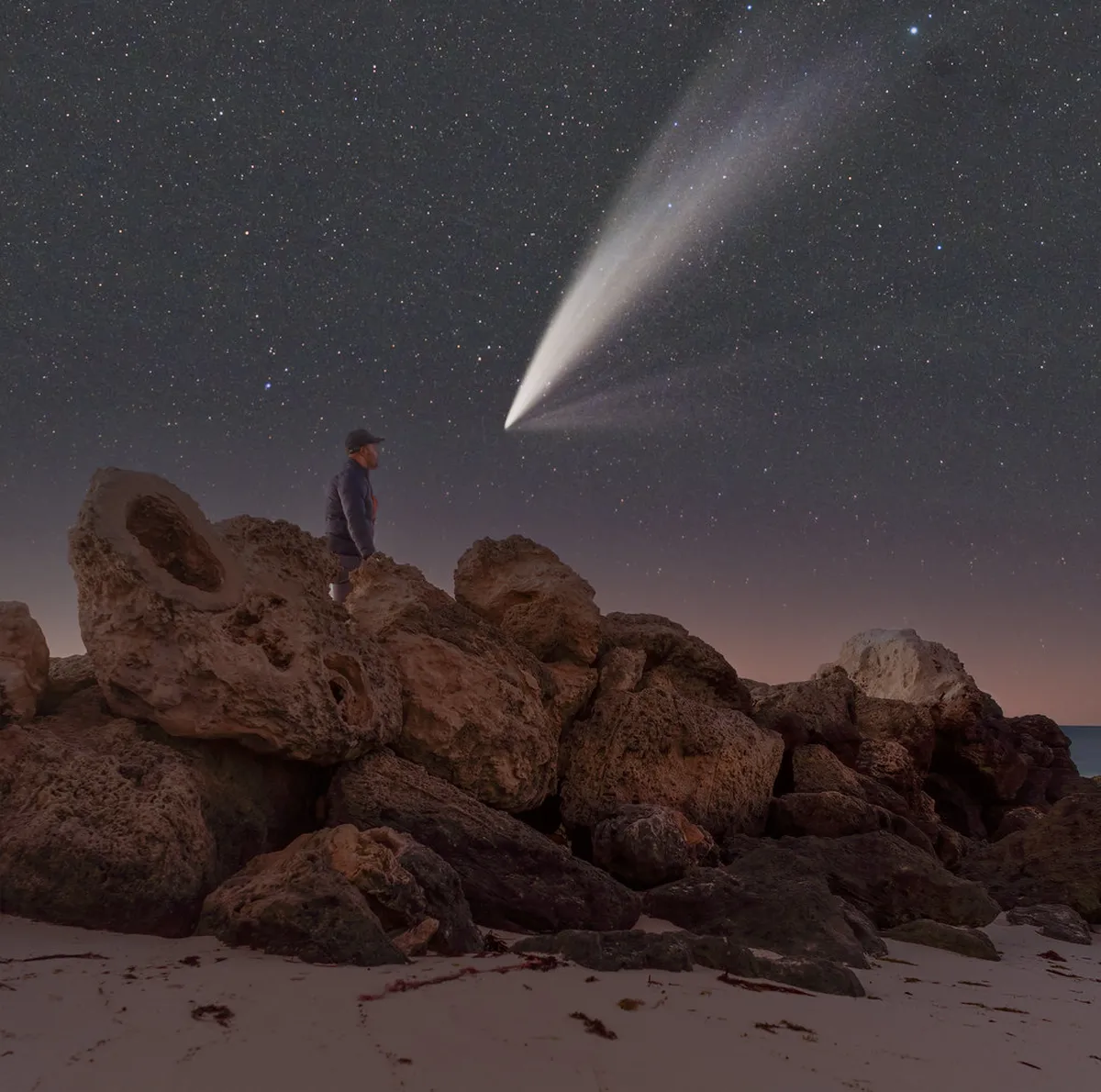 Where to Find the Best Bifanas in Coimbra 2025