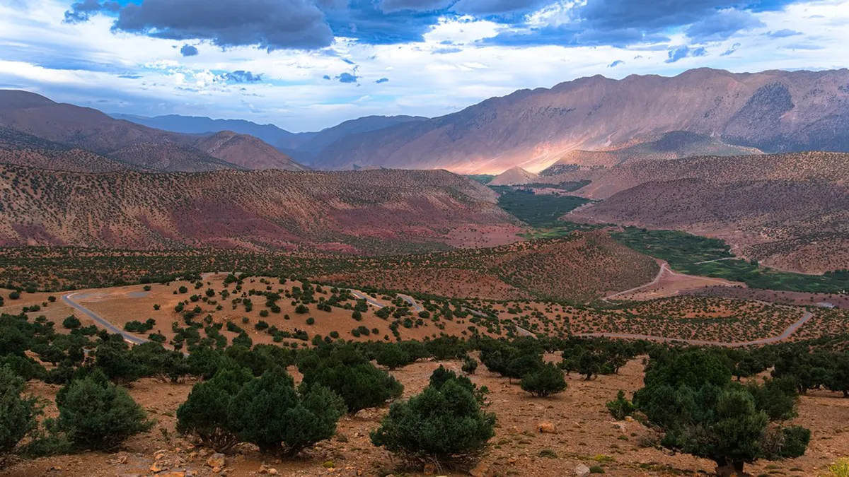 Quiet Morning Routes in Évora: Peaceful Strolls 2025