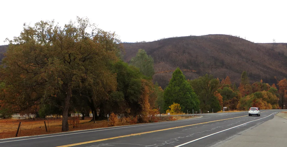 Accessible Streets Faro: Your 2025 Travel Guide