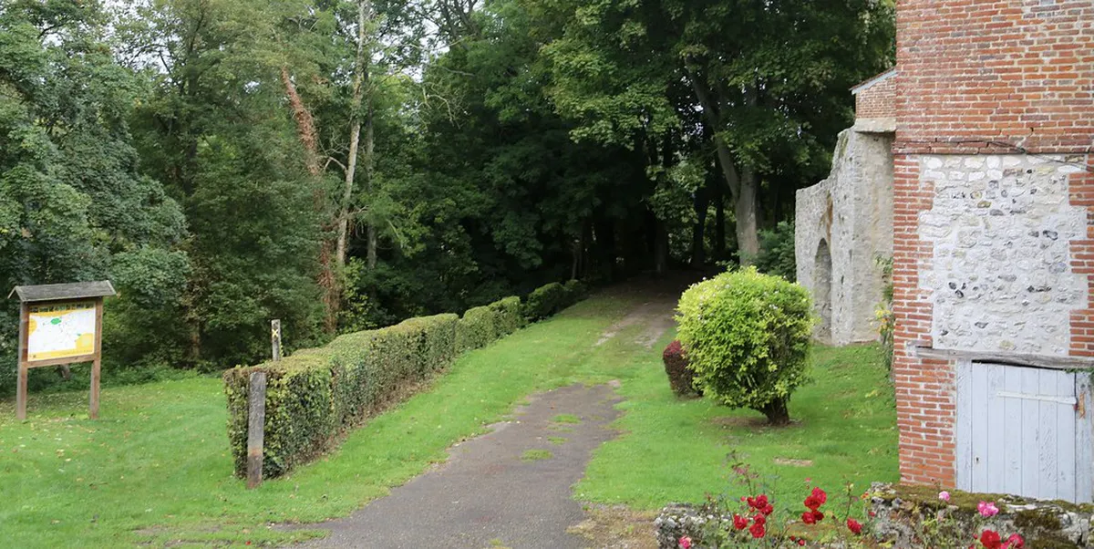 Faro's Floral Trails: Best Streets to See Spring Flowers in 2025