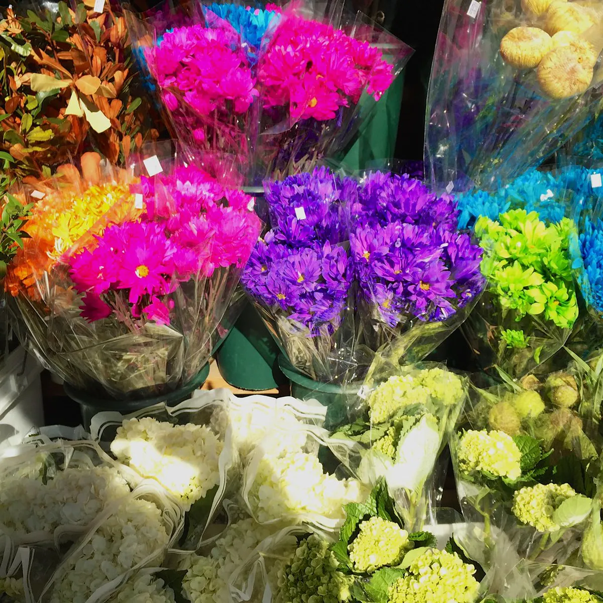 Best Time to See Faro's Vibrant Flowers in 2025