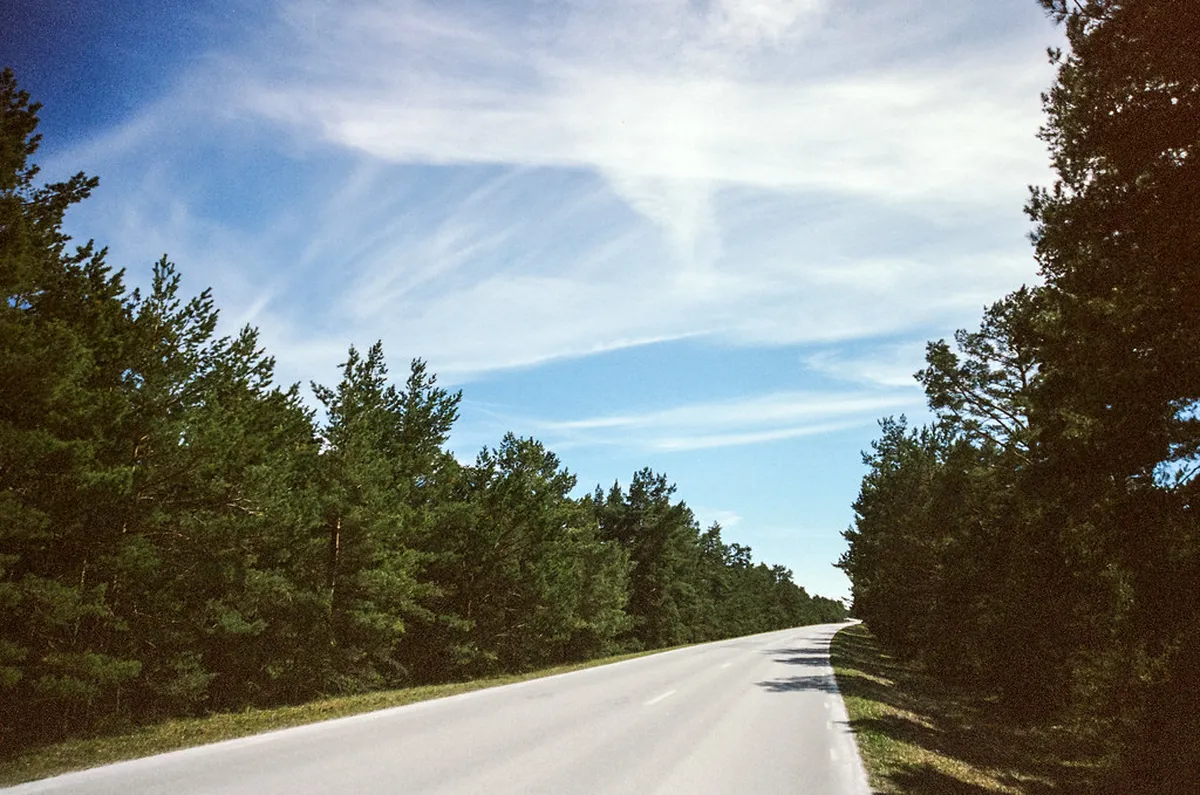 Discovering Faro's Historic Street Plaques