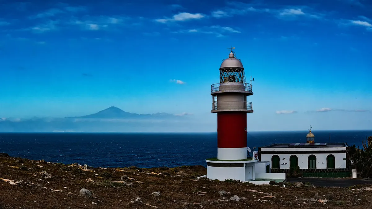 Faro's Spring Flowering Trees & Streets Guide 2025