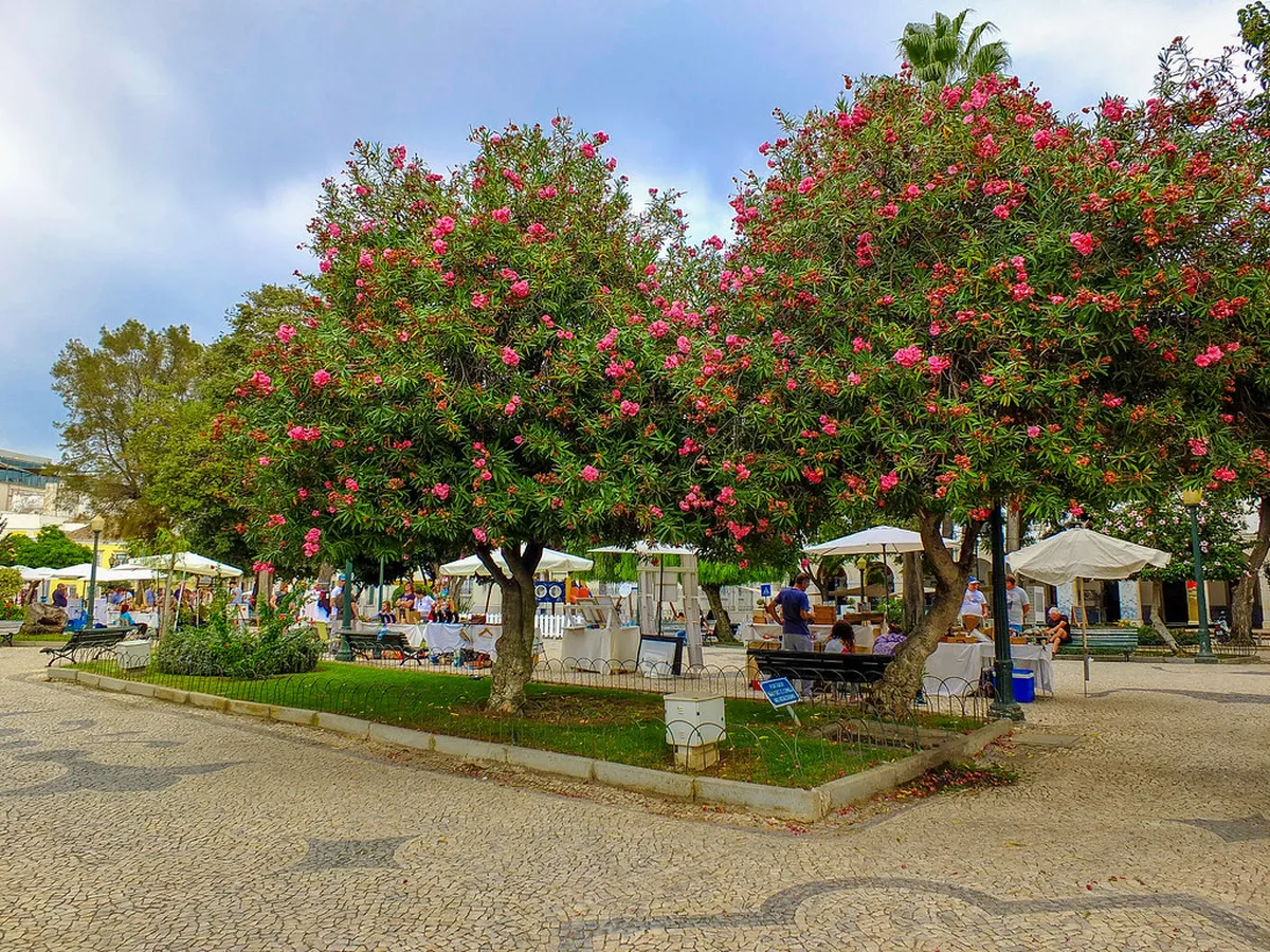 Faro Street Markets Guide: Your 2025 Shopping Adventure