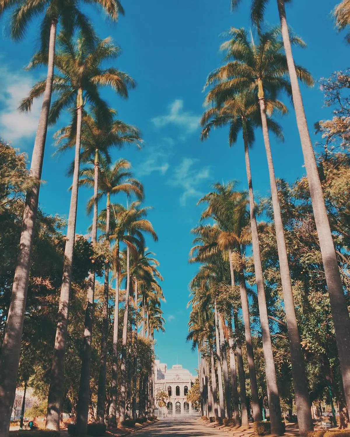 Praça da Liberdade Faro: A Perfect Walking Guide