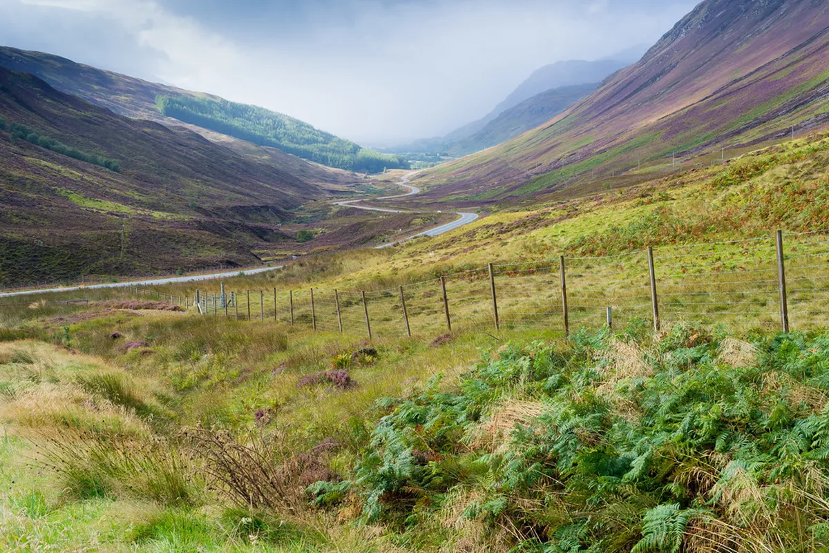 Stunning Scenic Views From Rua Afonso III Faro