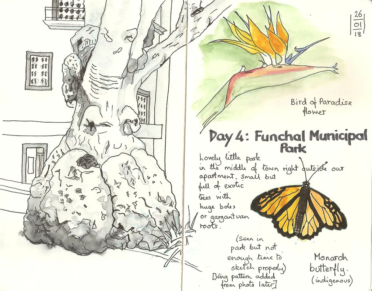 Discover the Best Walking Routes in Funchal 2025