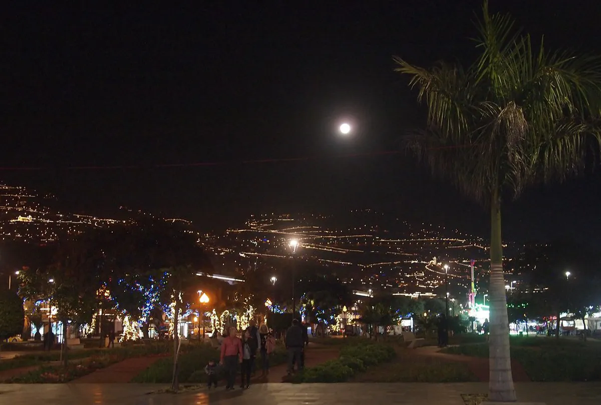 Funchal Christmas Lights 2025: Your Complete Guide