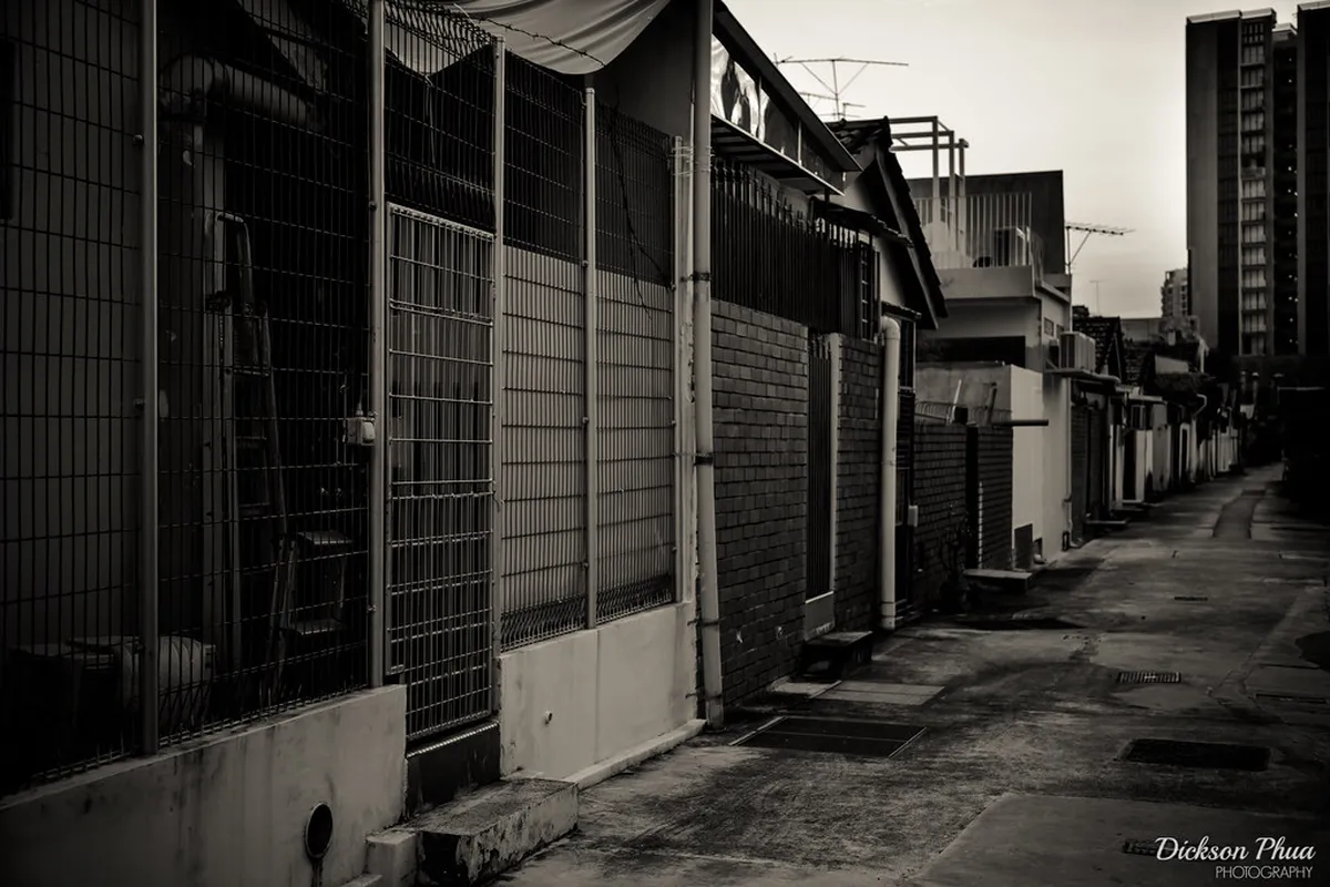 Discover Funchal's Hidden Alleyways in 2025