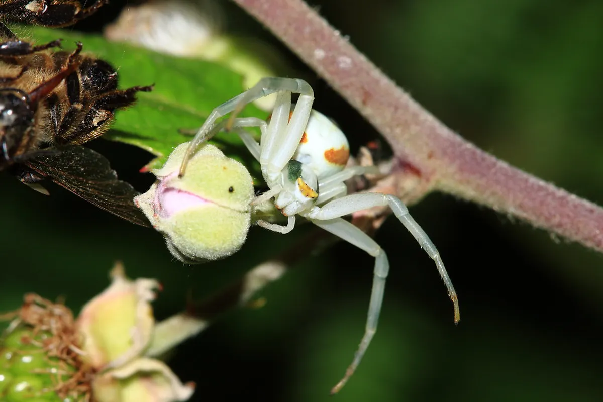 How to Find Funchal's Hidden Streets in 2025