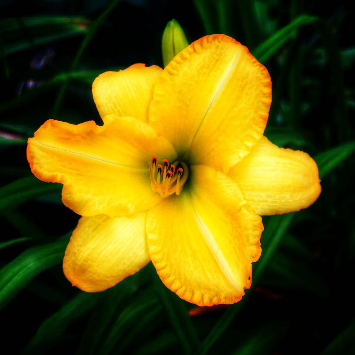 Map of Historical Landmarks in Funchal, Portugal 2025