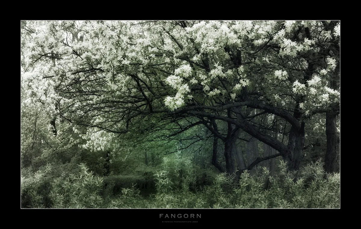 Experience Funchal Local Life: Your Authentic 2025 Guide