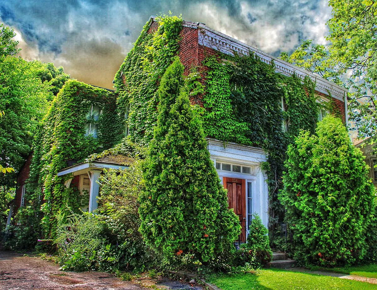 Discover Historic Lisbon: A Walking Tour Itinerary for 2025