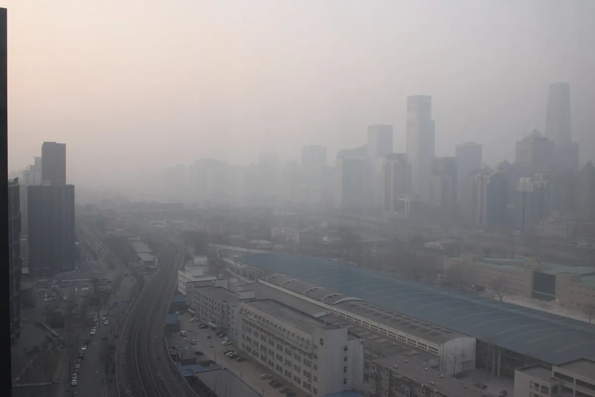 Lisbon's Hidden Gems: Alternative Streets to Explore