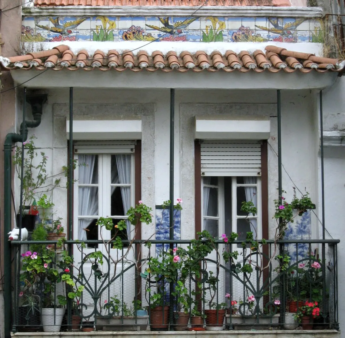 Discover the Best Lisbon Walking Routes in 2025