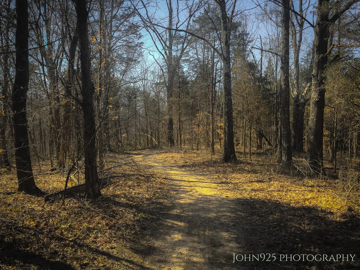 Alfama's Best Streets for Authentic Fado Music