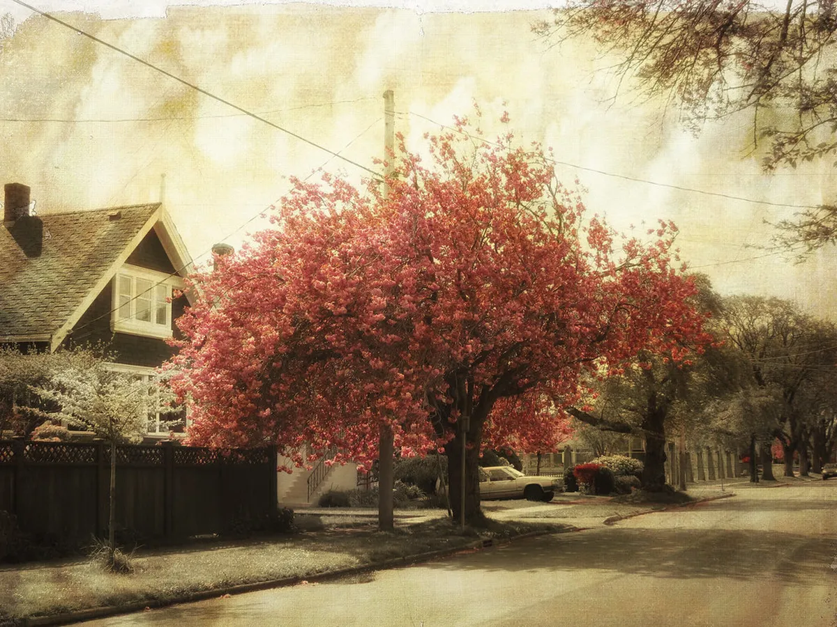 Discover Beco do Fado: Lisbon's Hidden Fado Alley