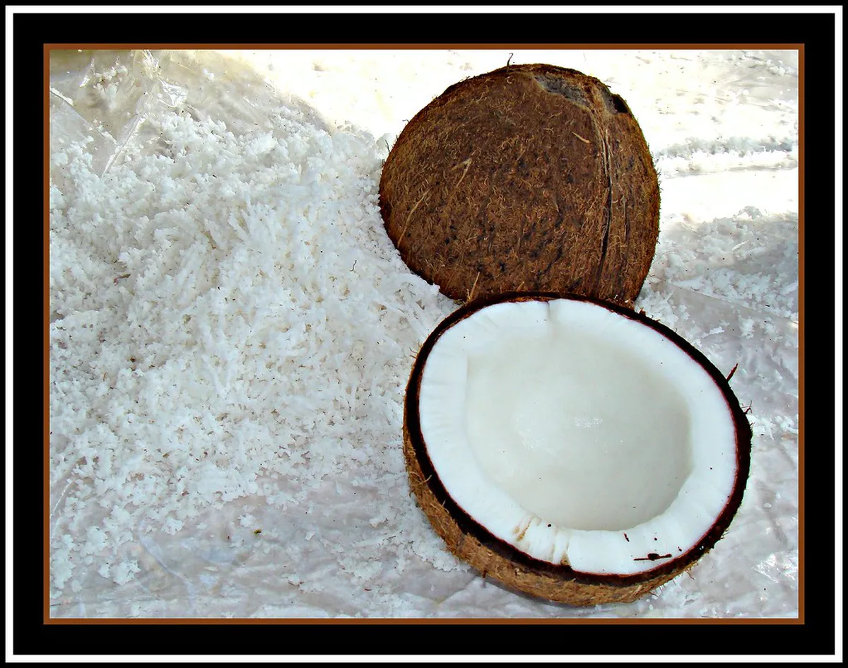 Exploring the Streets Near Lisbon's Mercado da Ribeira