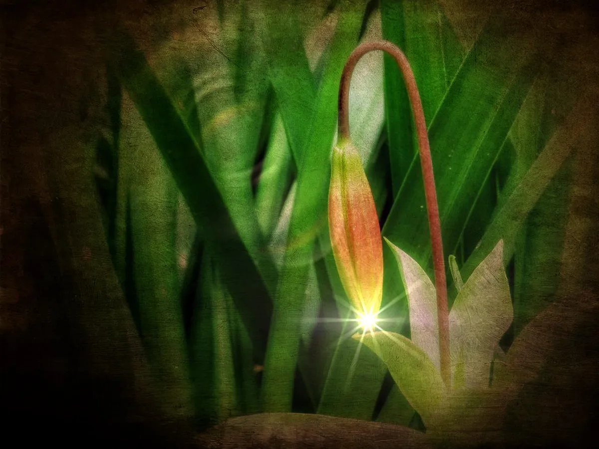 How to Choose a Fado Restaurant in Lisbon 2025