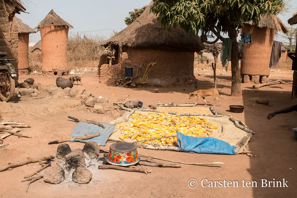 Lisbon's Best Traditional Street Food Guide for 2025