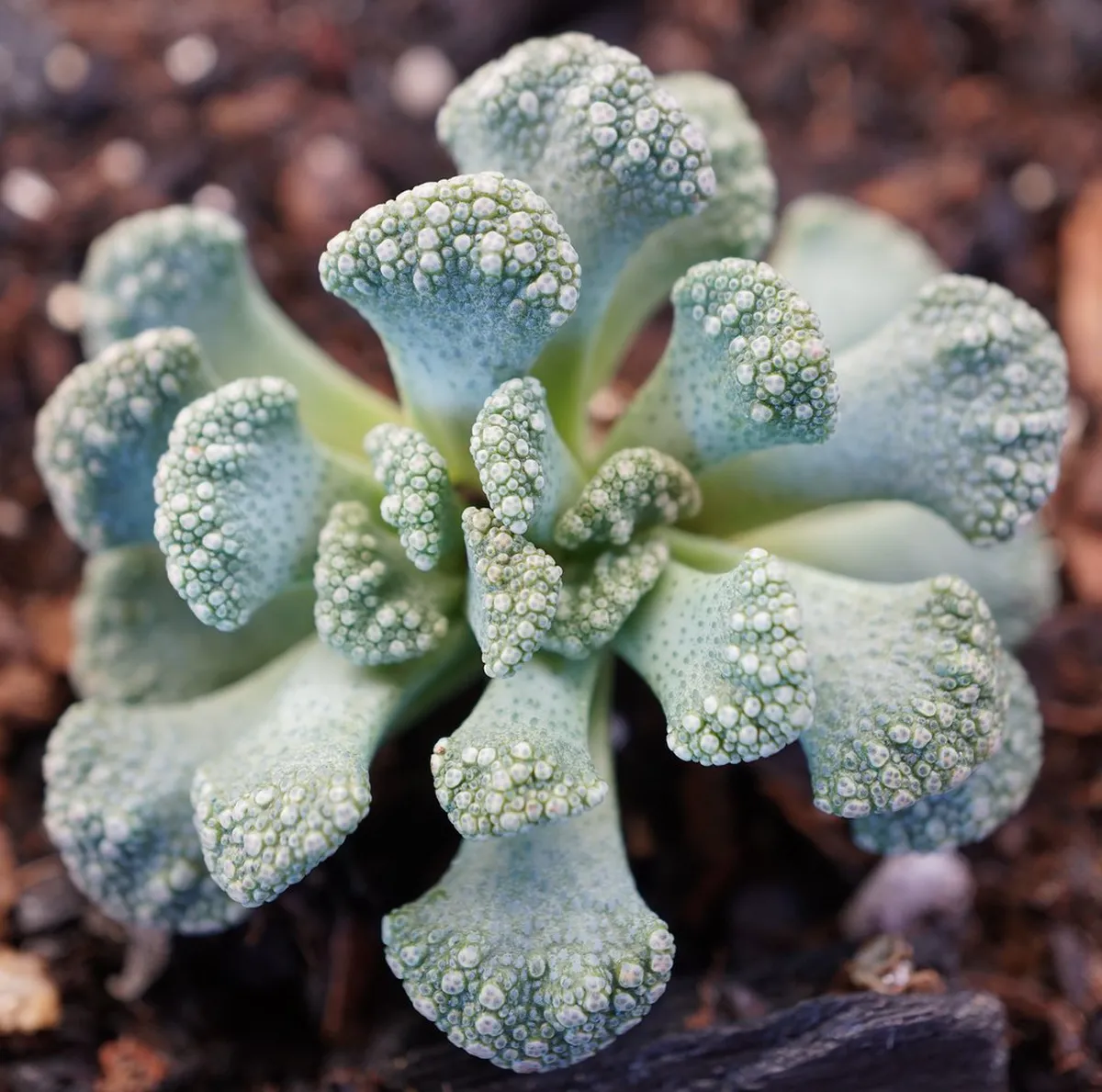 Viva Viagem Card: Your Lisbon Transport Guide for 2025