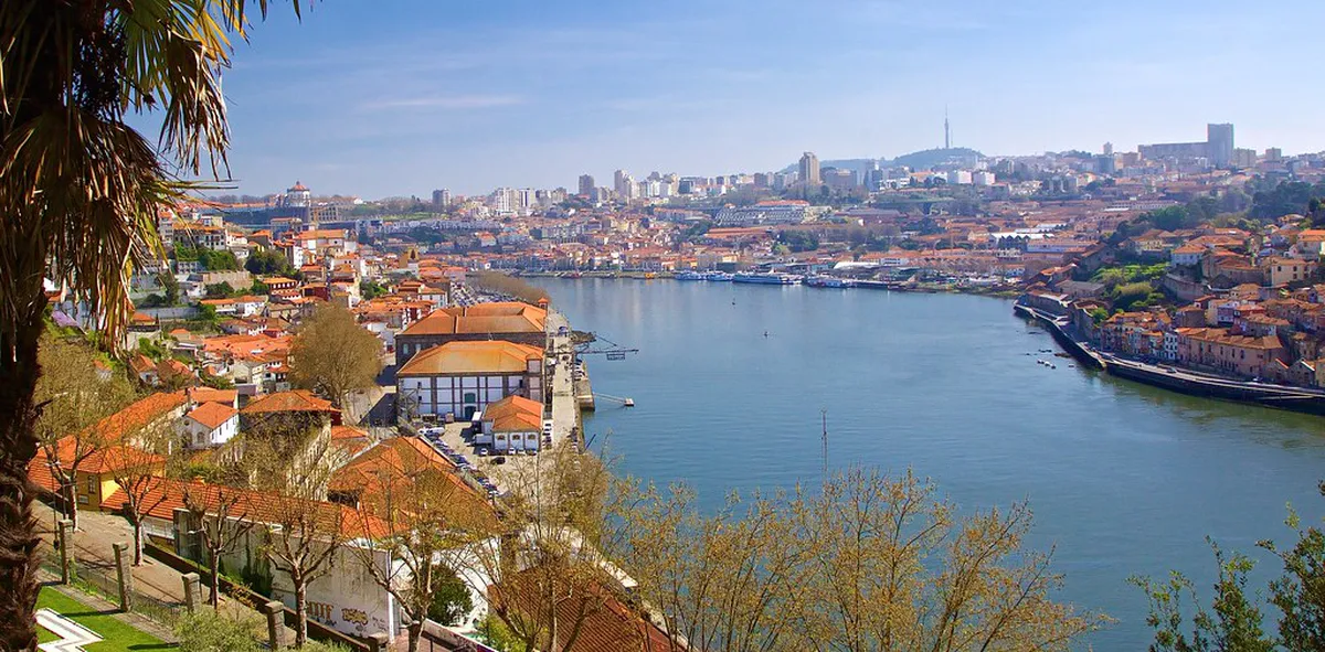 Discover Top Art Galleries on Rua de Miguel Bombarda