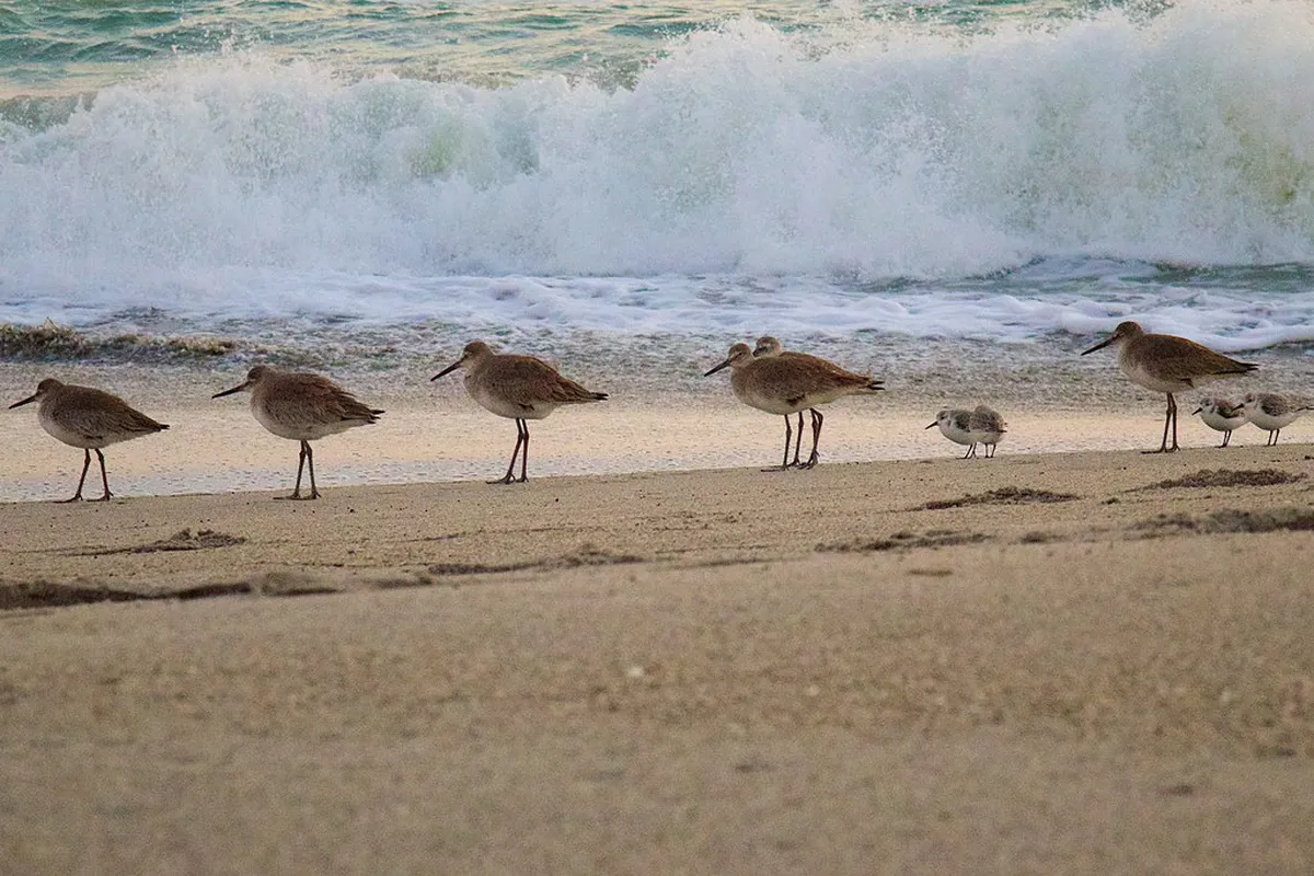Quiet Porto Streets: Best Morning Walks for 2025
