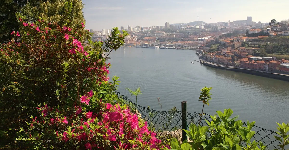 Charming Cafes with Outdoor Seating in Porto