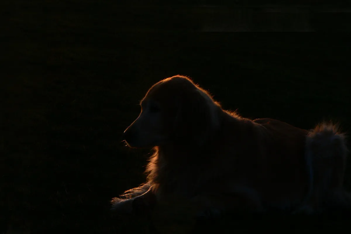 What Time is Golden Hour in Porto: Your 2025 Guide