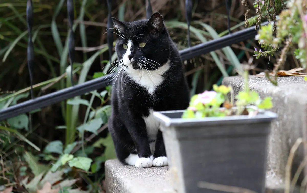 What to Wear Walking Porto: Essential Packing Tips 2025