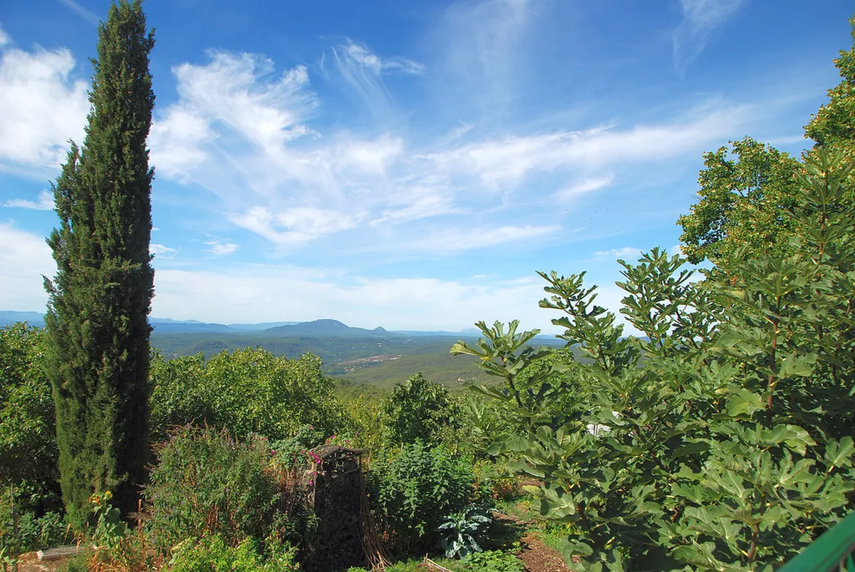 Find the Best Bifanas in Porto for 2025